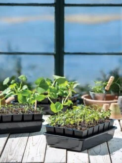 Growease Seed Starter Kit 21 Growease Seed Starter Kit -Garden Supplies Sales 8589987 7871 tif