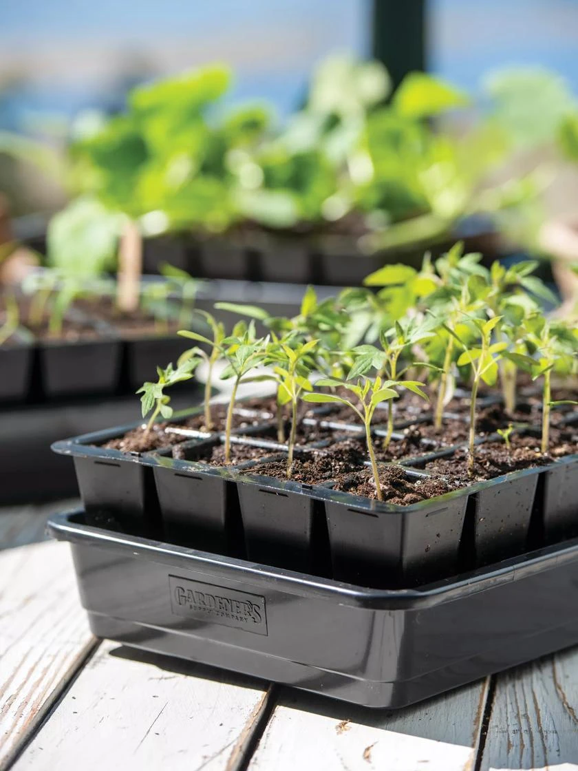 Growease Seed Starter Kit 4 Growease Seed Starter Kit - Image 2