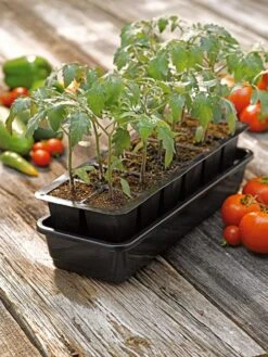 Growease Seed Starter Kit 15 Growease Seed Starter Kit -Garden Supplies Sales 8589988 1056 tif