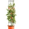 Gardener's Best® Tomato Grow Bag Set -Garden Supplies Sales 8590013PP 151 Tomato grow bag set tif