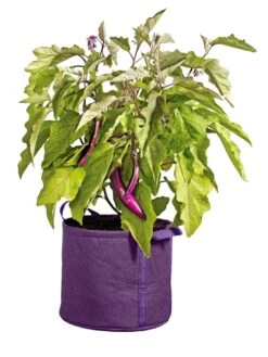 Gardener's Best® Universal Grow Bag 12 Gardener's Best® Universal Grow Bag -Garden Supplies Sales 8590024PR 214 tif