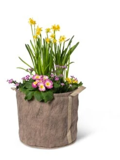 Gardener's Best® Universal Grow Bag 15 Gardener's Best® Universal Grow Bag -Garden Supplies Sales 8590024 7307 tif