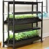2-Tier SunLite® Garden 1 2-Tier SunLite® Garden -Garden Supplies Sales 8590049 2489 grow lights with two shelves large tif