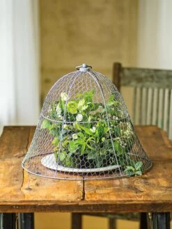 Chicken Wire Cloche -Garden Supplies Sales 8590210 1 tif