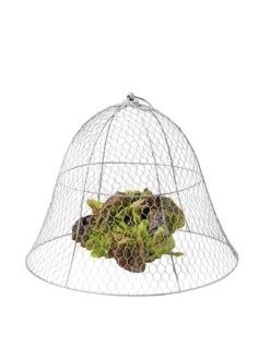 Chicken Wire Cloche -Garden Supplies Sales 8590210 675 tif