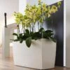 Lechuza® Cararo Rectangular Indoor Planter With Casters -Garden Supplies Sales 8590295 02v lechuza cararo rectangular indoor planter with casters