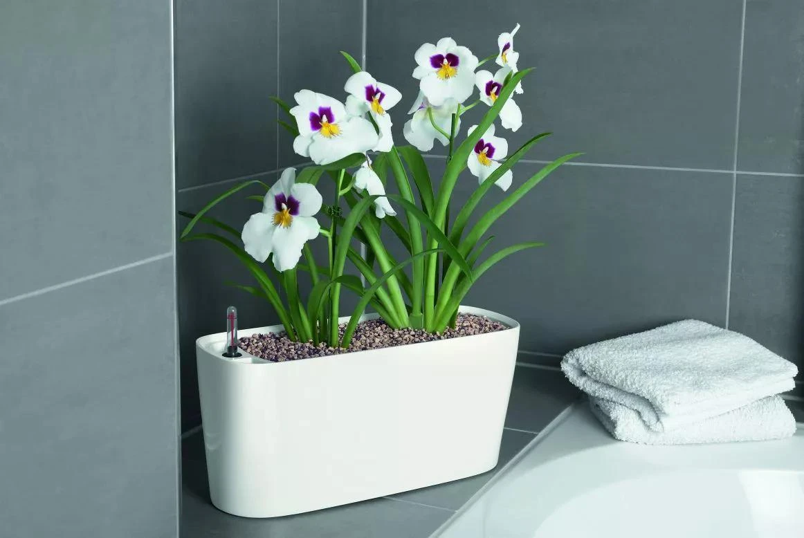 Lechuza® Delta Self-Watering Windowsill Planters 9 Lechuza® Delta Self-Watering Windowsill Planters - Image 7