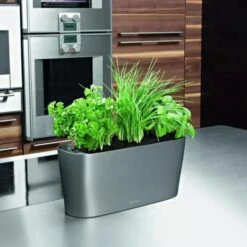 Lechuza® Delta Self-Watering Windowsill Planters 13 Lechuza® Delta Self-Watering Windowsill Planters -Garden Supplies Sales 8590298 02V tif