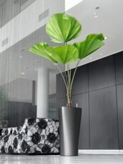 Lechuza® Delta Premium Self-Watering Planters -Garden Supplies Sales 8590299 02V tif