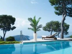 Lechuza® Delta Premium Self-Watering Planters -Garden Supplies Sales 8590299 04V tif