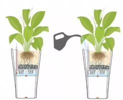 Lechuza® Delta Premium Self-Watering Planters -Garden Supplies Sales 8590299 07V tif