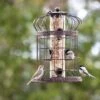 Edwardian Bird Feeder -Garden Supplies Sales 8590897 00151 tif