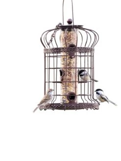 Edwardian Bird Feeder -Garden Supplies Sales 8590897 200151 tif