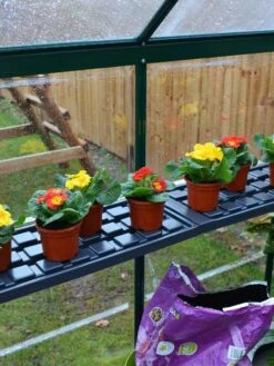 Canopia® By Palram Shelf Kit For Greenhouses, Set Of 2 Shelves 14 Canopia® By Palram Shelf Kit For Greenhouses, Set Of 2 Shelves -Garden Supplies Sales 8591033 09V jpg