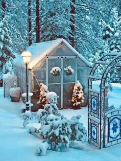 Canopia® By Palram Harmony™ Snap & Grow Greenhouse, 8' 37 Canopia® By Palram Harmony™ Snap & Grow Greenhouse, 8' -Garden Supplies Sales 8591048 06V jpg