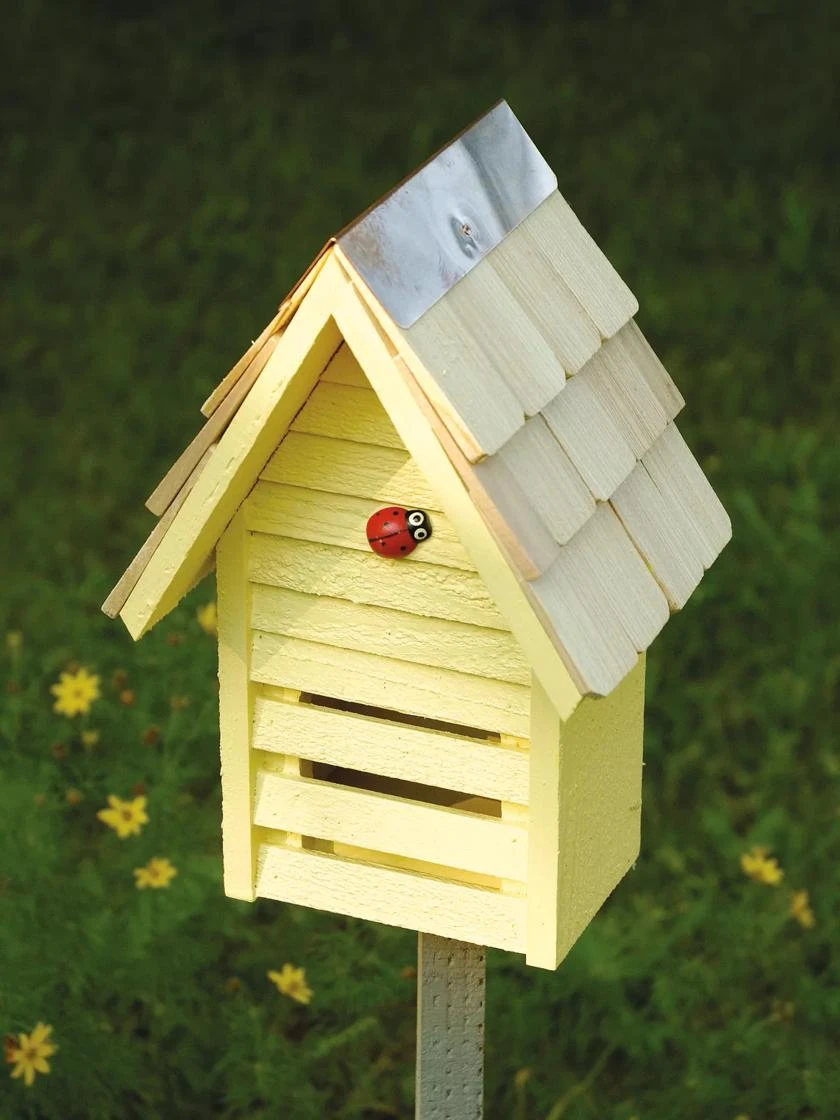 Heartwood Lady Bug Loft Bug House 4 Heartwood Lady Bug Loft Bug House - Image 2