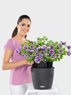 Lechuza® Nido Cottage Wicker Hanging Planter -Garden Supplies Sales 8591154GT 006V tif