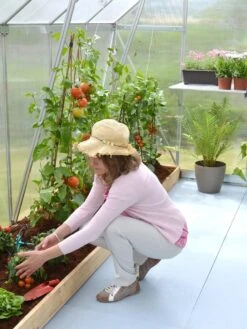 Canopia® By Palram Essence™ Greenhouse, 8' X 12' -Garden Supplies Sales 8591356 04V tif