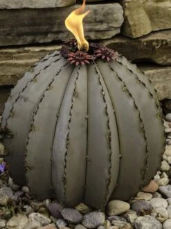 Desert Steel Golden Barrel Cactus Torches -Garden Supplies Sales 8591454 01V tif