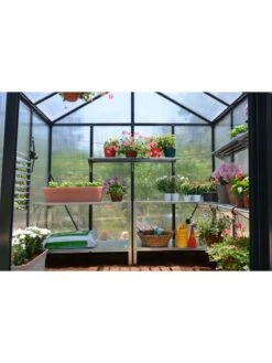 Canopia® By Palram Glory™ Greenhouse, 8' -Garden Supplies Sales 8591547 02v