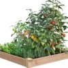 Cedar Raised Garden Bed, 4' X 4' X 6" -Garden Supplies Sales 8591724 01V tif