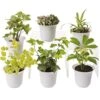 Low Light Terrarium Plant Collection, Set Of 6 -Garden Supplies Sales 8591770 3595 tif