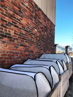 Row Shelter Accelerator -Garden Supplies Sales 8591990 01IN tif