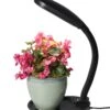 Agrobrite Desktop Plant Light 1 Agrobrite Desktop Plant Light -Garden Supplies Sales 8592052 1704z hydrofarm cfl grow light flexible neck adjustable height