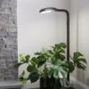 Agrobrite Floor Plant Lamp -Garden Supplies Sales 8592053 0215 tif
