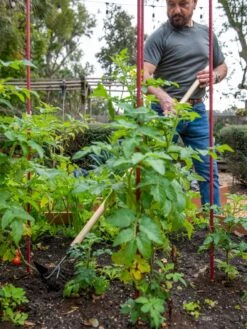 Gardener's Lifetime Long-Handled Double Tool 8 Gardener's Lifetime Long-Handled Double Tool -Garden Supplies Sales 8592107 2481 tif