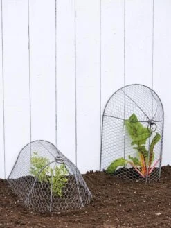 3-in-1 Chicken Wire Cloche -Garden Supplies Sales 8592117 0188 tif