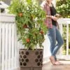 Gardener's Revolution® Tomato Planter -Garden Supplies Sales 8592159 406 001E tif