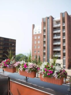 Adjustable Self-Watering Railing Planter, 24" -Garden Supplies Sales 8592173TC 2383 tif