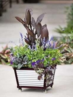 Galvanized Self-Watering Planters 8 Galvanized Self-Watering Planters -Garden Supplies Sales 8592176 5060 tif