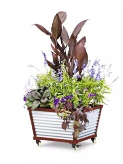 Galvanized Self-Watering Planters 9 Galvanized Self-Watering Planters -Garden Supplies Sales 8592176 5067 tif