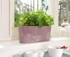 Lechuza® Delta Self-Watering Windowsill Planters 14 Lechuza® Delta Self-Watering Windowsill Planters -Garden Supplies Sales 8592361 01V tif