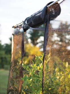 Storm Proof Crop Cage, Large -Garden Supplies Sales 8592463 115 tif