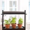Micro Grow Light Garden -Garden Supplies Sales 8593235 2290 tif