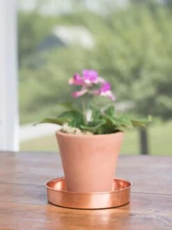 Extra Small Round Copper Plant Tray, 8" -Garden Supplies Sales 8593528 4522 tif