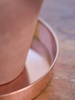 Extra Small Round Copper Plant Tray, 8" -Garden Supplies Sales 8593528 4529 tif