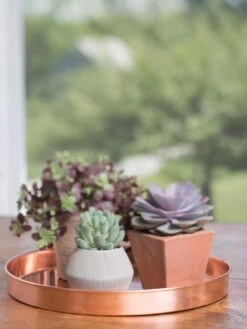 Large Round Copper Plant Tray, 14" -Garden Supplies Sales 8593531 4518 tif