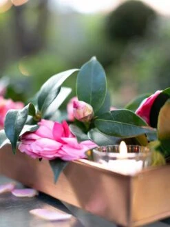 Rectangular Copper Plant Tray, 18"x4" 9 Rectangular Copper Plant Tray, 18"x4" -Garden Supplies Sales 8593532 02IN tif