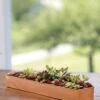 Rectangular Copper Plant Tray, 18"x4" -Garden Supplies Sales 8593532 4632 tif