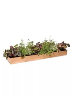 Rectangular Copper Plant Tray, 24" X 5" -Garden Supplies Sales 8593533 2878 tif