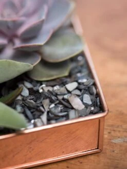 Rectangular Copper Plant Tray, 24" X 5" -Garden Supplies Sales 8593533 4570 tif