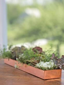 Rectangular Copper Plant Tray, 24" X 5" -Garden Supplies Sales 8593533 4626 tif