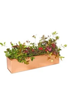 Tall Rectangular Copper Plant Tray, 18" X 5" X 4" -Garden Supplies Sales 8593534 2899 tif