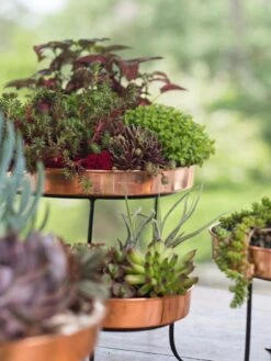 Small Round Copper Plant Tray, 10" -Garden Supplies Sales 8593564 4399 tif