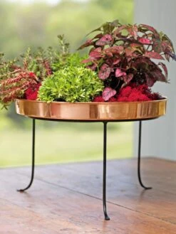 Large Round Copper Plant Tray, 14" -Garden Supplies Sales 8593567 4636 tif