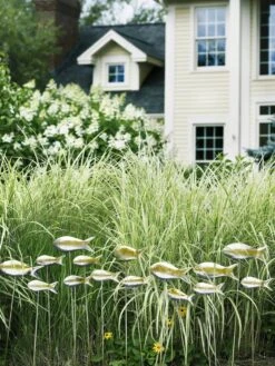 Fish Out Of Water Garden Stakes, Set Of 5 -Garden Supplies Sales 8593672 9124 tif